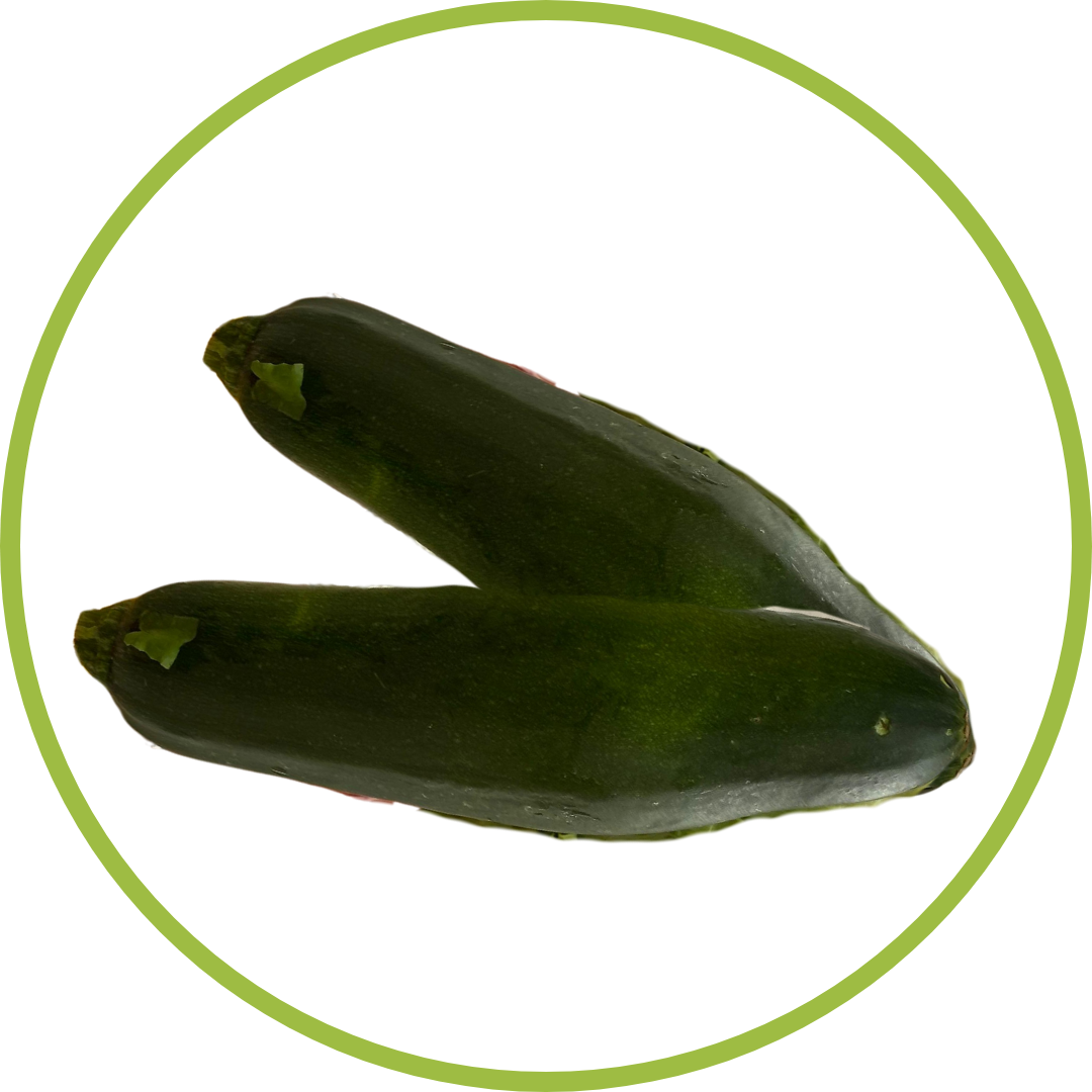 Zucchini